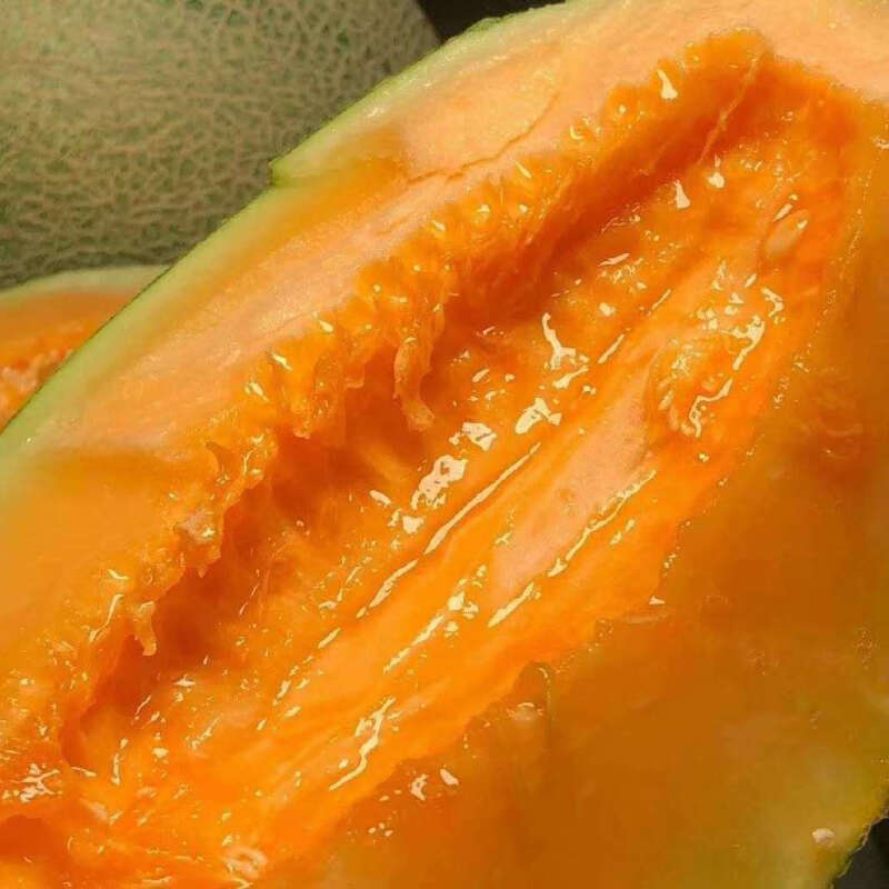 新鲜海南西州蜜当季现摘水果网纹瓜脆甜多汁哈密瓜批发 2-3斤装