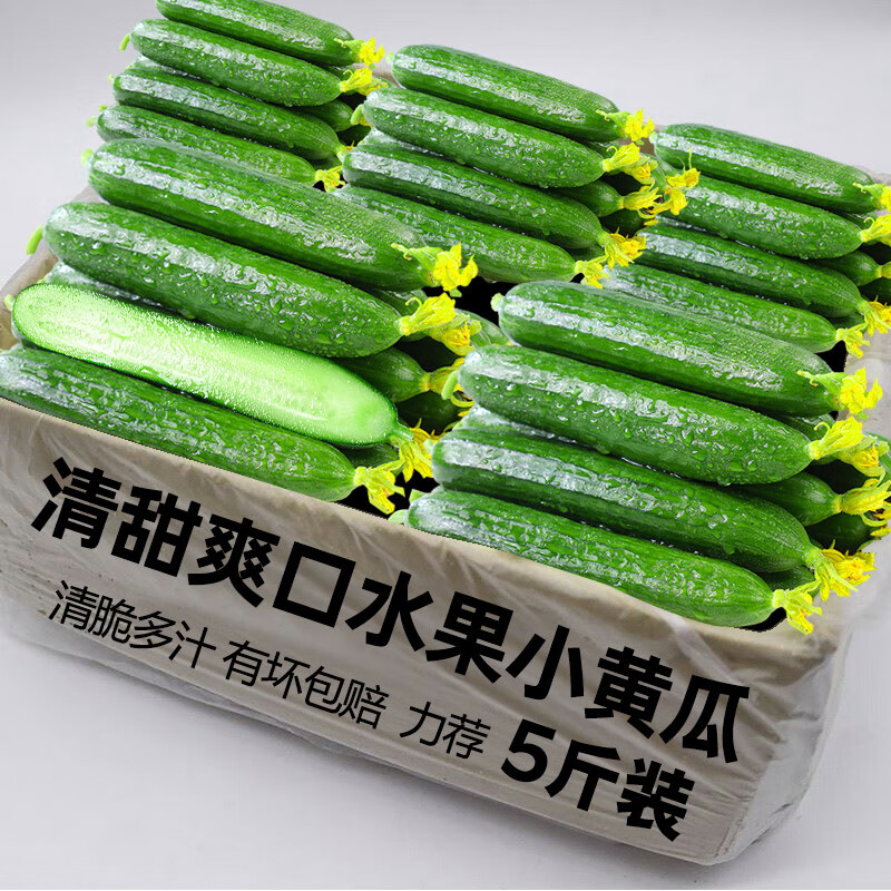 水果小黄瓜新鲜应当季小黄瓜青瓜时令蔬菜旱生吃即食整箱1