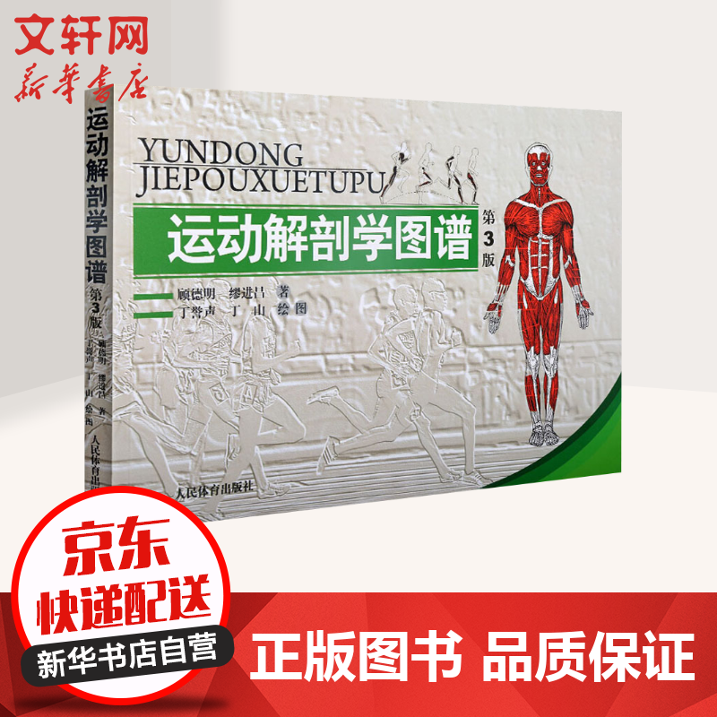 运动解剖学图谱