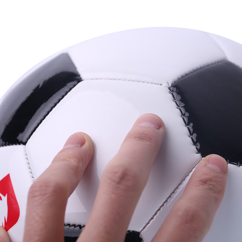 德玛珥（DEMARE）5号标准训练足球成人儿童比赛用球耐磨PU材质DEM-ZQ01