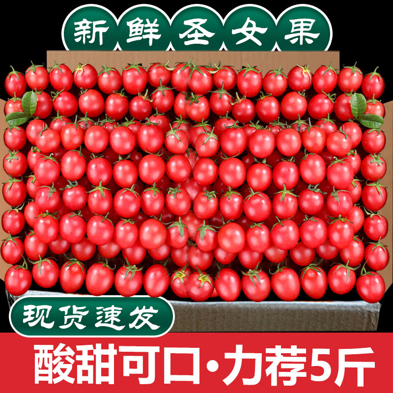 新鲜圣女果小番茄水果当季蔬菜生吃自然熟0.5-5斤孕妇西红柿千禧