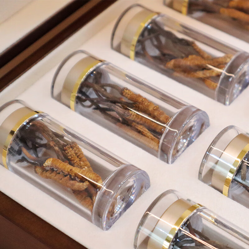 塞翁福 西藏冬虫夏草礼盒装 新干虫草精选礼盒装 虫体饱满 洁净度高 礼盒装20g