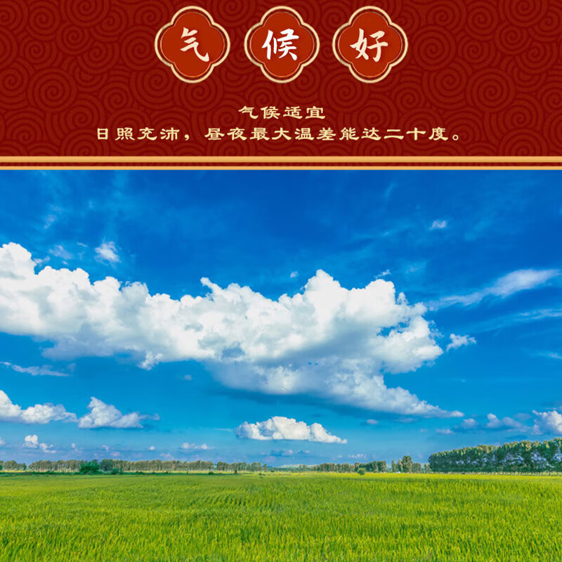 艾逸瑶选 五常福稻2KG