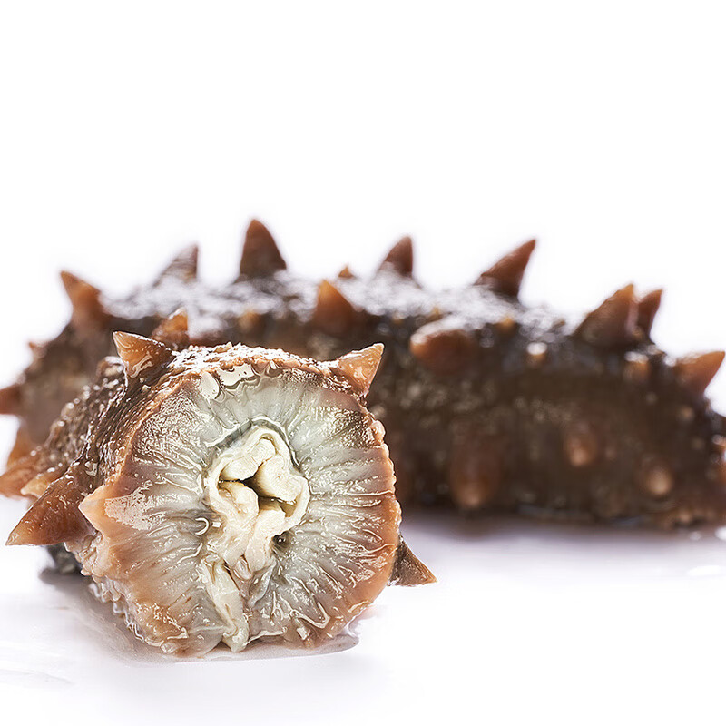 塞翁福 大连底播海参干货辽刺参海鲜水产礼盒 AAAA干海参225g