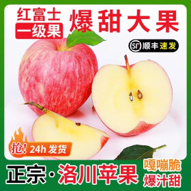 洛川苹果12枚中大果单果210g-250g延安红富士 产地直发 健康轻食 12颗大果 净重6斤
