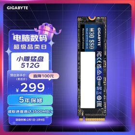技嘉（GIGABYTE) 小雕猛盘512GB SSD固态硬盘 m.2接口 2G缓存 游戏性能  NVME高速读写