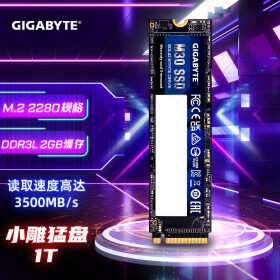 技嘉（GIGABYTE) 小雕猛盘1TB SSD固态硬盘 m.2接口 2G缓存 游戏性能  NVME高速读写 650TBW