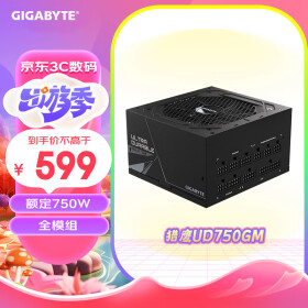 技嘉（GIGABYTE）猎鹰额定750W金牌全模组电脑电源（80PLUS金牌/支持RTX3060/3070/五年保障）UD750GM