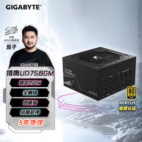 技嘉（GIGABYTE）猎鹰额定750W金牌全模组电脑电源（80PLUS金牌/支持RTX3060/3070/五年保障）UD750GM