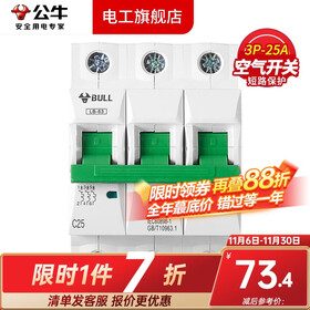 公牛空气开关空开开关63A小型断路器家用100A塑壳电闸总闸3P过载4P 3P/25A
