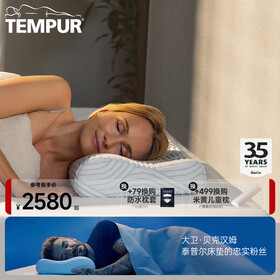 泰普尔 丹麦进口记忆棉感温枕慢回弹枕头睡眠枕头夏凉枕枕芯酷爽感温枕 酷爽感温枕QM（蓝色升级款）
