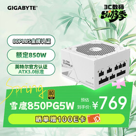 技嘉（GIGABYTE）雪鹰 白色限定 额定850W金牌认证全模组电源/ATX 3.0/PCIE5.0/原生16PIN/五年保障/支持40系列显卡