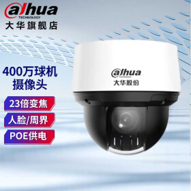 dahua大华球机400万23倍变焦红外夜视人脸周界室内外吸顶安装4吋poe网络监控自动巡航摄像头 DH-SD4A423-DP-I 不含存储卡