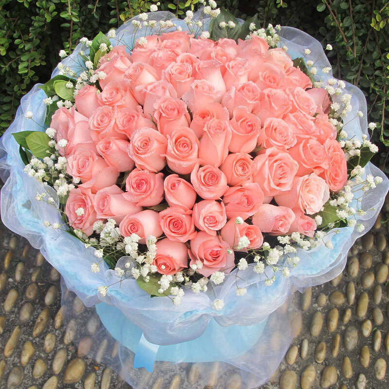 乐舞鲜花速递 66朵粉玫瑰花束 生日鲜花快递 全国鲜花同城速递西安