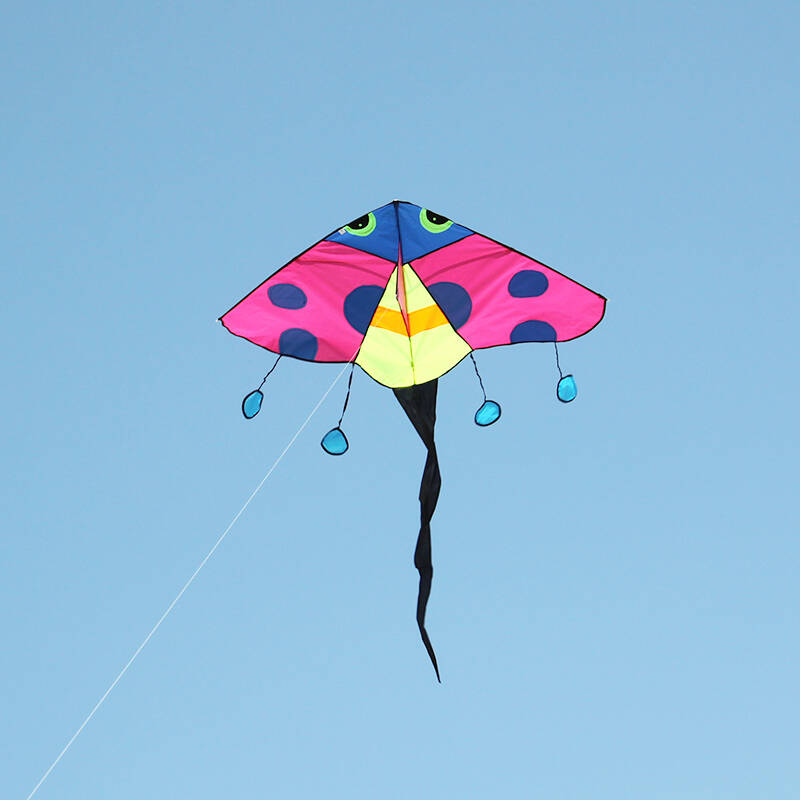 四脚瓢虫/开心兔/小狗阿黄 布拼卡通风筝 儿童最爱 四脚瓢虫(仅风筝)