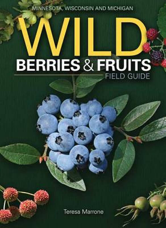 wild berries & fruits field guide: minnesota, wisconsin and