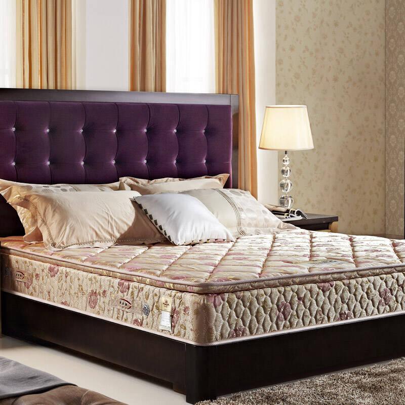 睡宝皇 椰棕棕垫床垫 中硬床垫 提丝拉丝弹簧床垫 1800x2000 雅馨