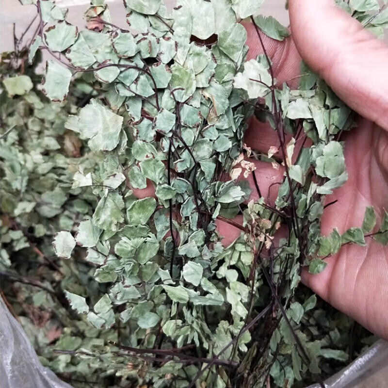 猪鬃草 石长生500g散装 长生草 岩浮萍猪毛七铁线蕨铁线草【图片 价格