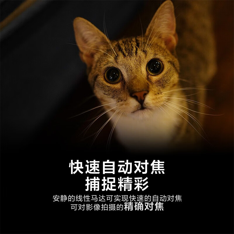 索尼FE 35mm F1.8 全画幅广角定焦镜头优缺点实测：详情爆料 心得分享 第3张