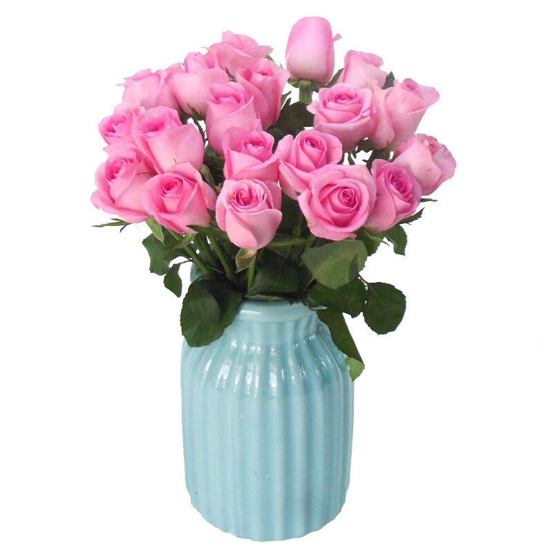 苏醒玫瑰花苗水粉色切花月季丰花灌木阳台庭院花卉盆栽观花植物d7中苗