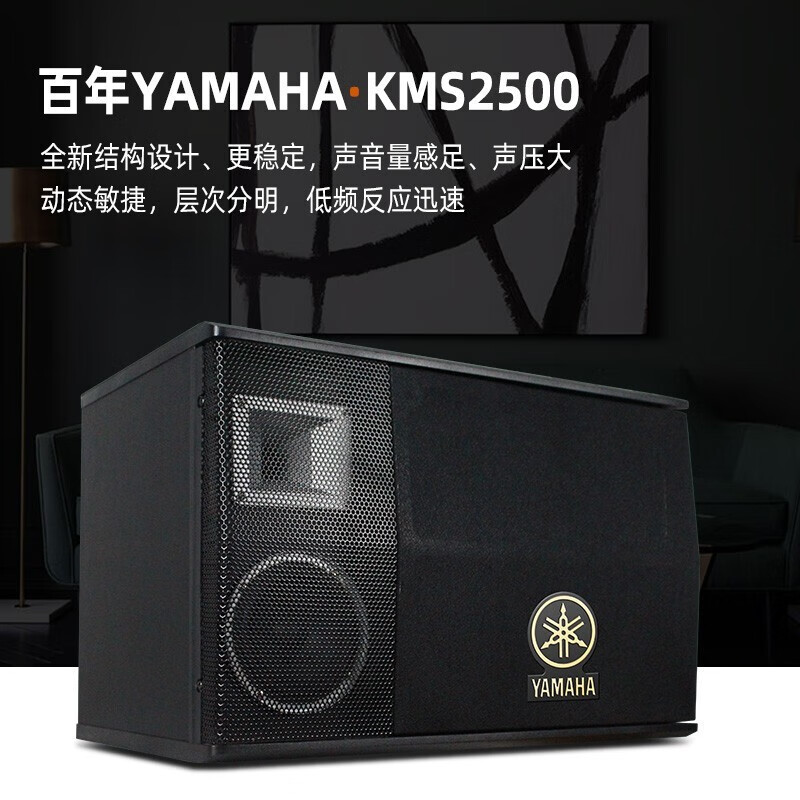 親測分析：雅马哈KMS2500家庭ktv音响套装质量靠谱吗？KMS2500真相吐槽分享 对比评测 第2张