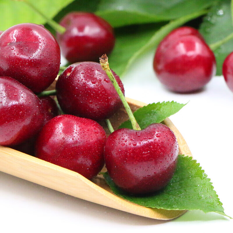 预售大连樱桃车厘子xl级1kg礼盒装果径约2426mm新鲜水果礼盒健康轻食2
