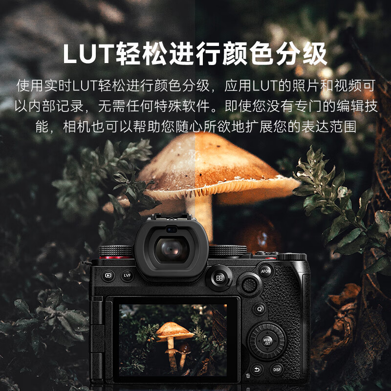 有内涵：松下 S5M2-S5II-S5二代-S5数码相机质量靠谱吗？真相吐槽分享 心得分享 第1张