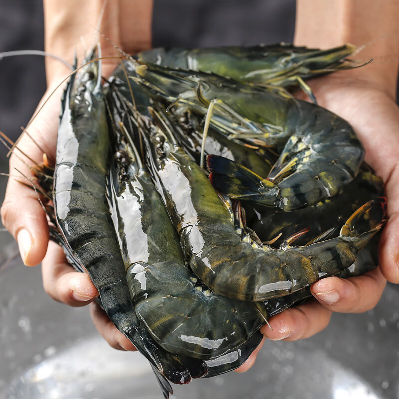 万景 鲜京采 北海活冻黑虎虾（大号31-40只）净重1kg 双重优惠折后￥69包邮秒杀