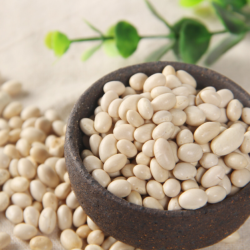 吉得利 白芸豆 大白豆东北无添加五谷杂粮新打豆浆伴侣500g *2个
