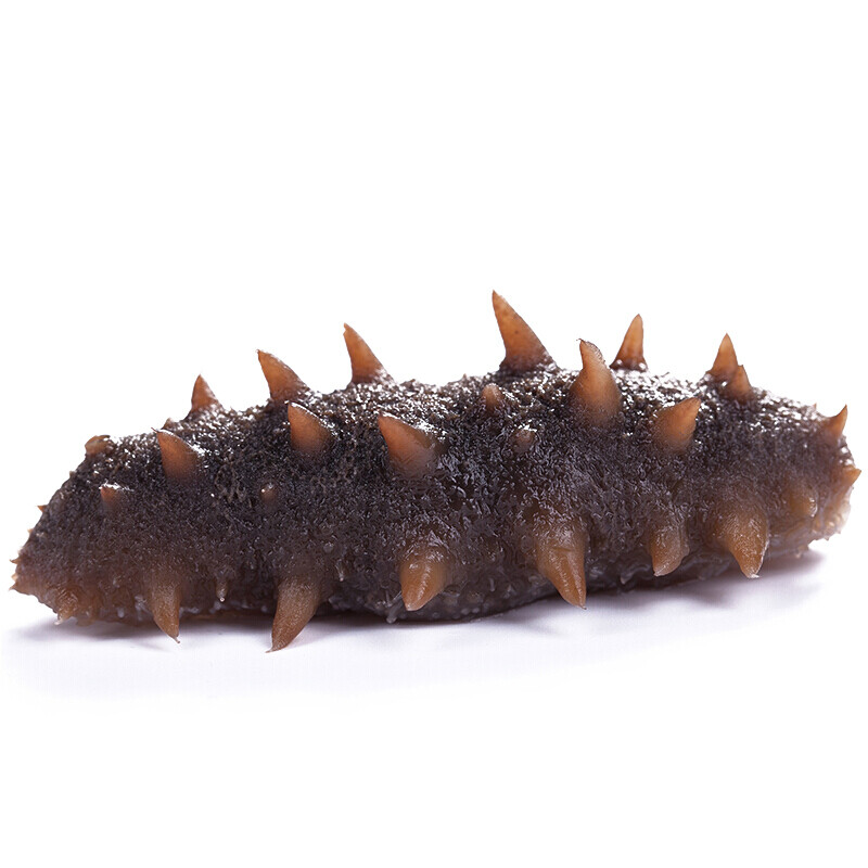 海晏堂 大连冷冻即食海参 1800g 30只 礼盒装 海鲜水产