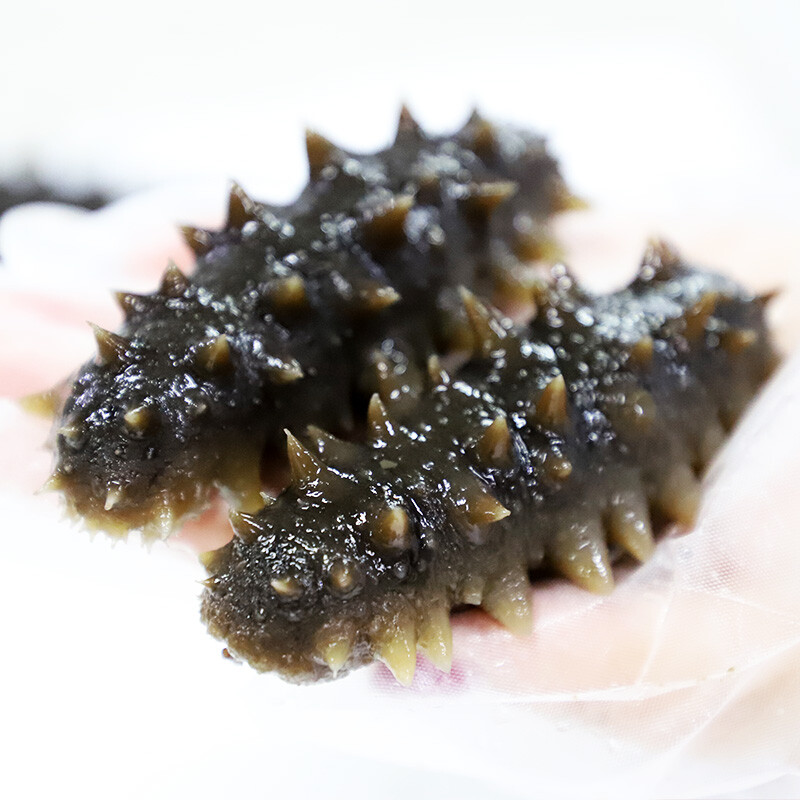 晓芹 即食海参 2400g 30只 大连冷冻即食海参 海鲜水产 凑单品