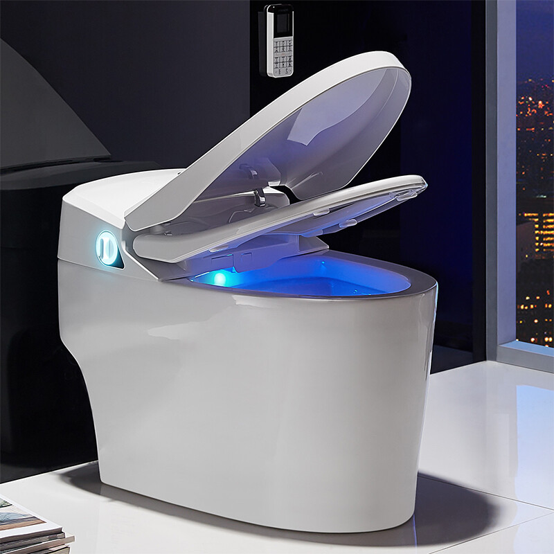 法恩莎(faenza) 卫浴全自动智能马桶一体式暖风烘干座圈加热坐便器fb