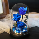 花思淳永生花玫瑰花蓝色妖姬礼盒玻璃罩摆件生日情人节礼物结婚纪念日送女朋友老婆爱人蓝色妖姬 两用款 图片价格品牌报价 京东