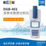 上海雷磁 DGB-401型多参数水质分析仪 化学需氧量COD/总磷/总氮/氨氮  便携消解器消解装置 DGB-401（试剂套装）