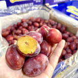 澳洲新鲜西梅鲜果新鲜水果李子当季时令孕妇水果西梅盒装送礼生鲜 2斤