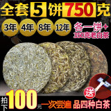 鼎山鼎 4套福鼎老白茶饼白毫银针春季茶叶4款组合共400g