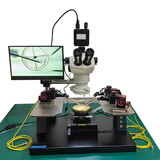 派迪威TZ-1000探针台 探针显微镜 TZ-1000（探针显微镜整体）