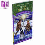 Magic Tree House 33 Narwhal on a Sunny Night 神奇树屋第一季33平装 儿童初级章节书 魔法树屋 6-9岁 英文原版