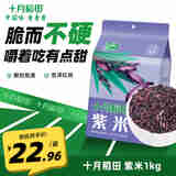 十月稻田 紫米1kg 五谷粗粮 杂粮 紫米粥