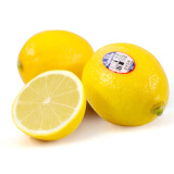 新奇士Sunkist 美国进口柠檬 一级果 4粒装 单果重100-130g 生鲜水果