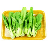 孙桥 小青菜 约300g 新鲜蔬菜