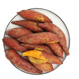 六鳌新鲜沙地红薯 红心地瓜 甜番薯 香甜蜜薯5斤