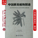 现货中国蕨类植物图谱