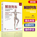 解剖列车第4版 手法与运动治疗的肌筋膜经线 新版 北京科学技术出版社