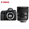 佳能（Canon）EOS 6D Mark II 6D2 全画幅 单反相机（腾龙 24-70mm F/2.8 G2）含512G卡+备电+炭纤维三脚架