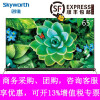 创维（Skyworth）S9D 4色4K超高清 OLED自发光有机电视 智能网络平板电视（香槟金） 65S9D 65英寸