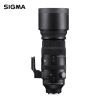 适马（SIGMA）150-600mm F5-6.3 DG DN OS ｜Sports 全画幅无反 超远摄变焦镜头  打鸟拍荷花（索尼卡口）