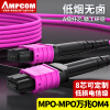 安普康（AMPCOM）万兆OM4多模MPO-MPO光纤跳线电信级 8芯40G/100G光模块集束光纤线 MTP转接跳纤100米 AMOM48100