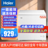 海尔（Haier）冰柜家用小型冷柜单温冷藏冷冻保鲜速冻柜大容量卧式一级能效电冰柜 200L 【经济款】白色