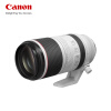 佳能佳能（Canon）RF100-500mm F4.5-7.1 L IS USM 远摄变焦镜头 微单镜头